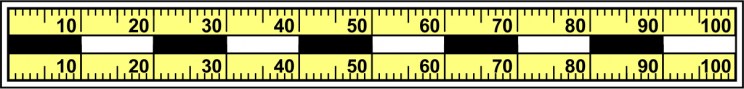 Měřítko Ž 10 x 1 cm ČBM12
